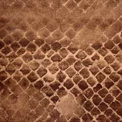 Andrea Castorina - Evidence 3