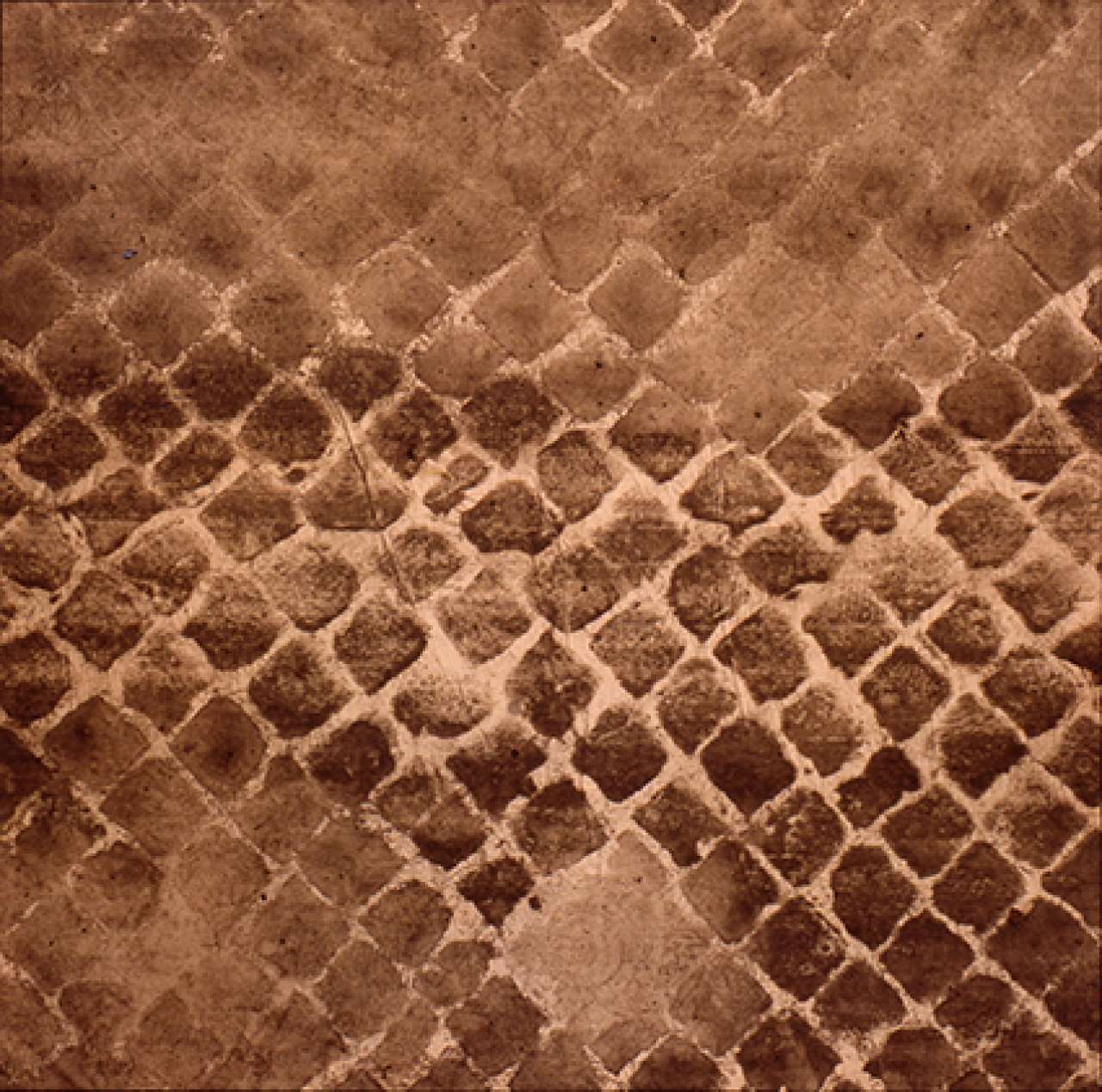 Andrea Castorina - Evidence 3