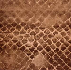 Andrea Castorina - Evidence 3
