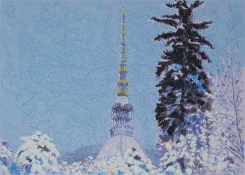Natale Addamiano - La Mole d'inverno