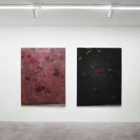 a riveder le stelle natale addamiano 10