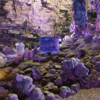 natale addamiano grotte di castellana 73
